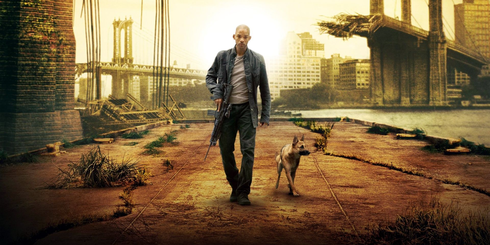 'I Am Legend' Sequel Officially in the Works with Will Smith and