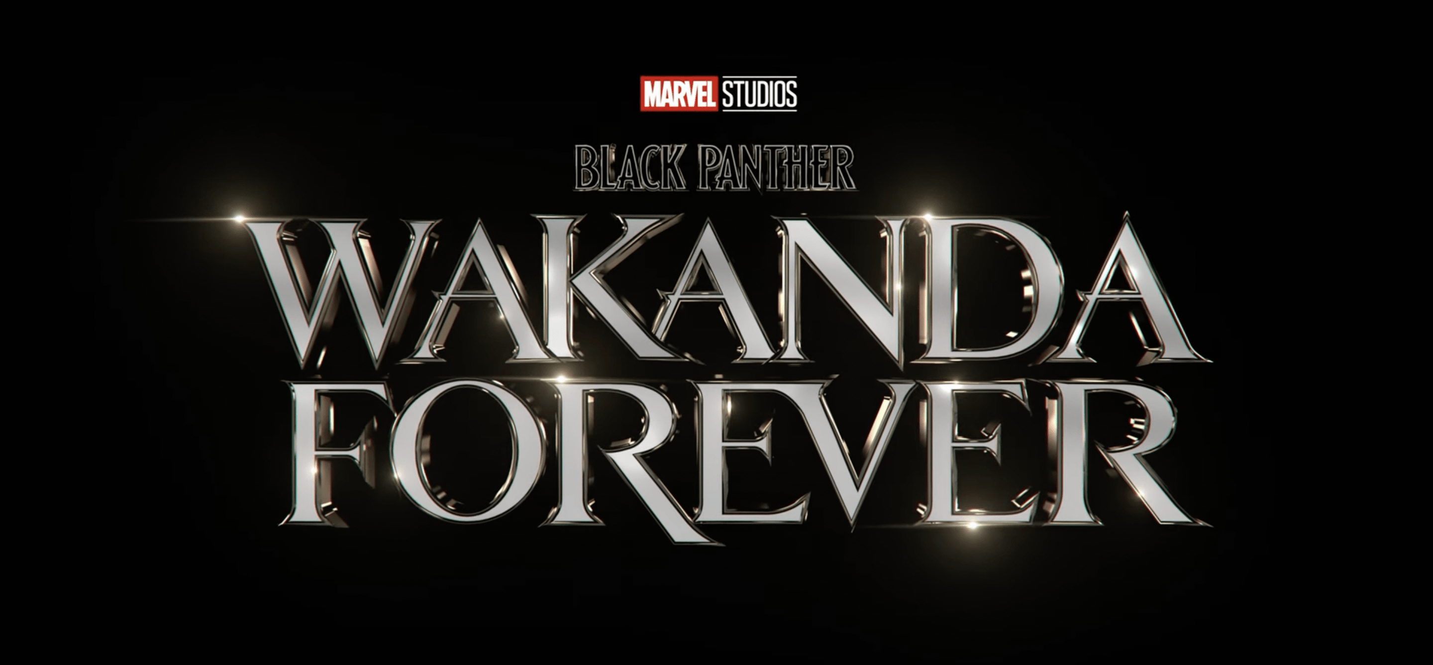 'Black Panther: Wakanda Forever' Trailer Breakdown - Nakia Will Be the